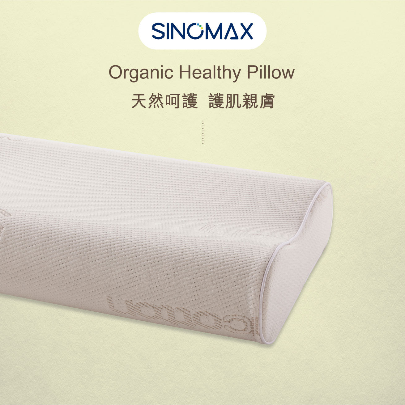 Organic Healthy Pillow